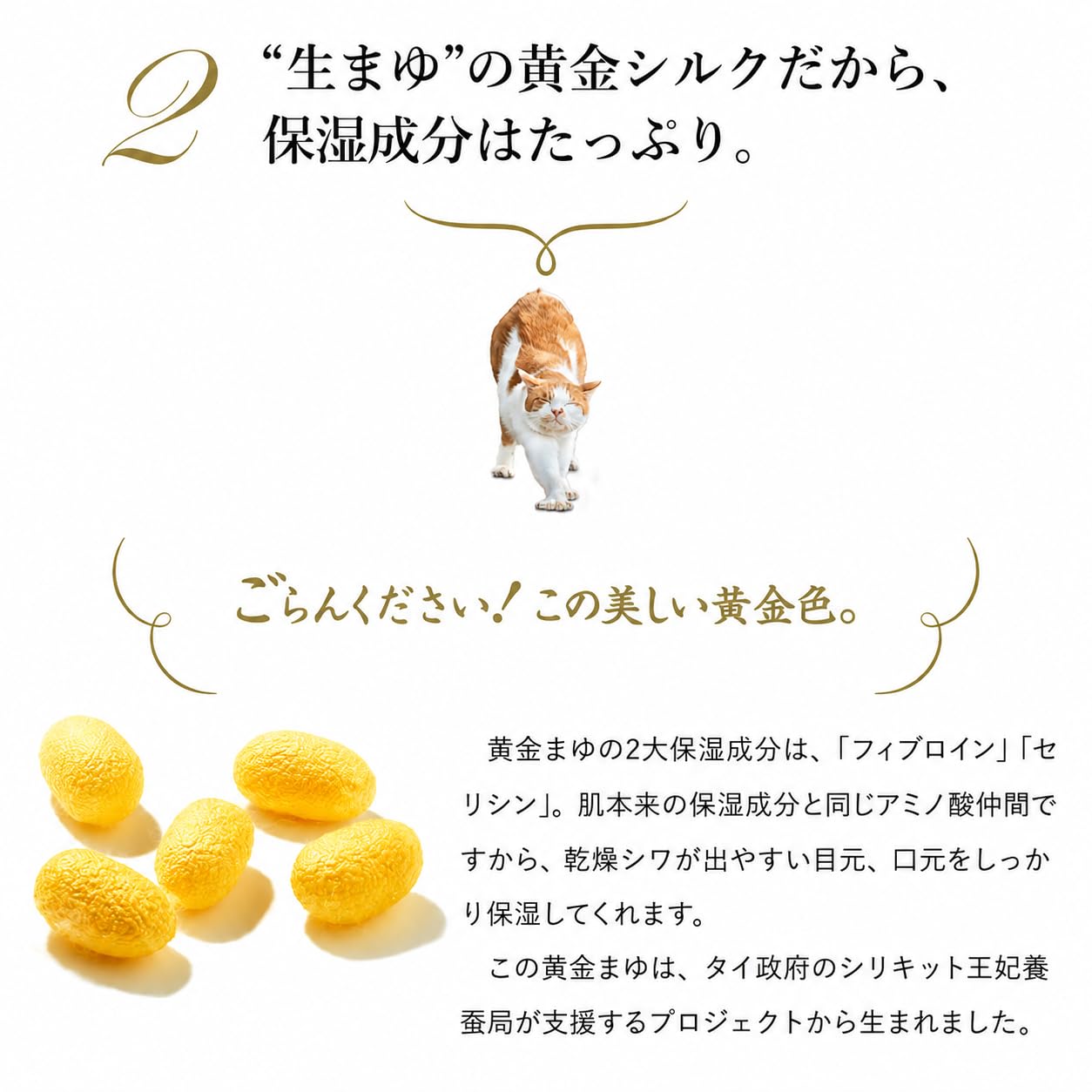 Amazon.co.jp: 通販生活 黄金まゆの絹粉 ベージュ UVカット 日焼け止め